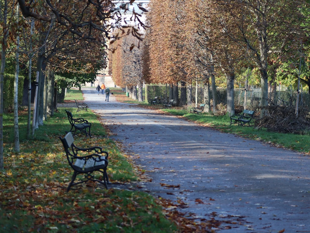 a couple of benches sitting on the side of a road