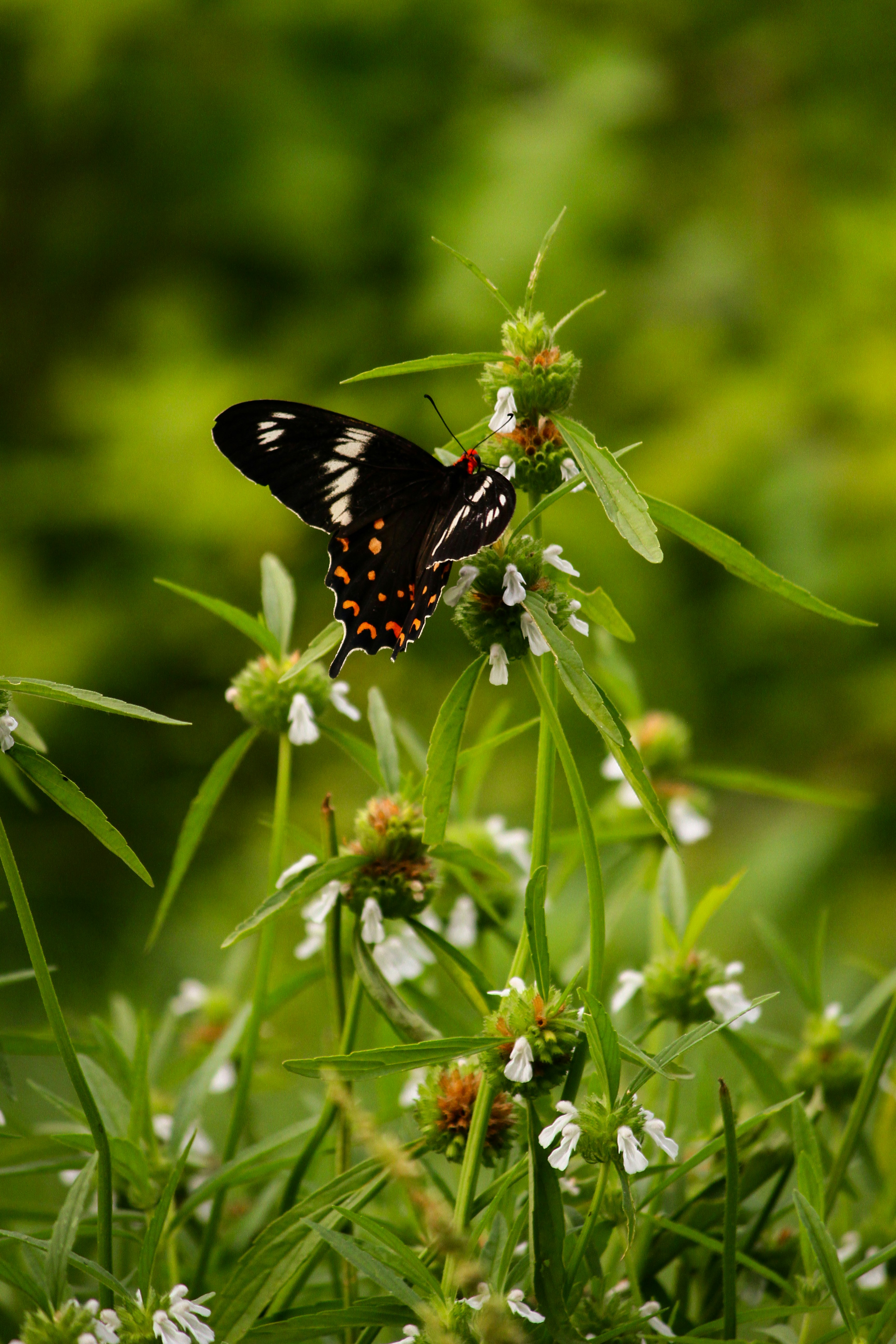 Photo by pon_esakki_sundar