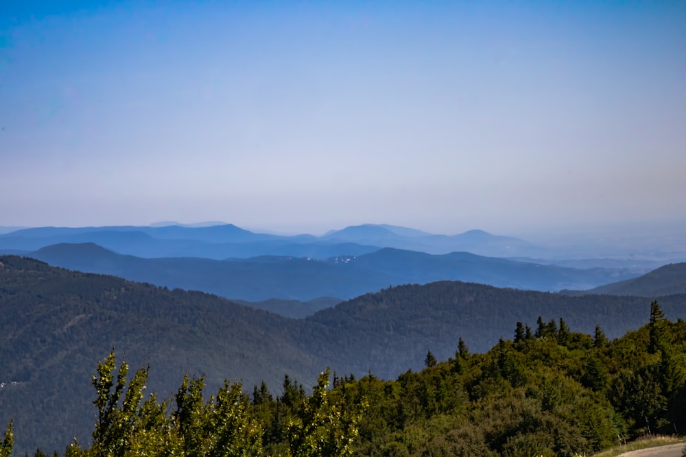 a scenic view of a mountain range with trees in the foreground