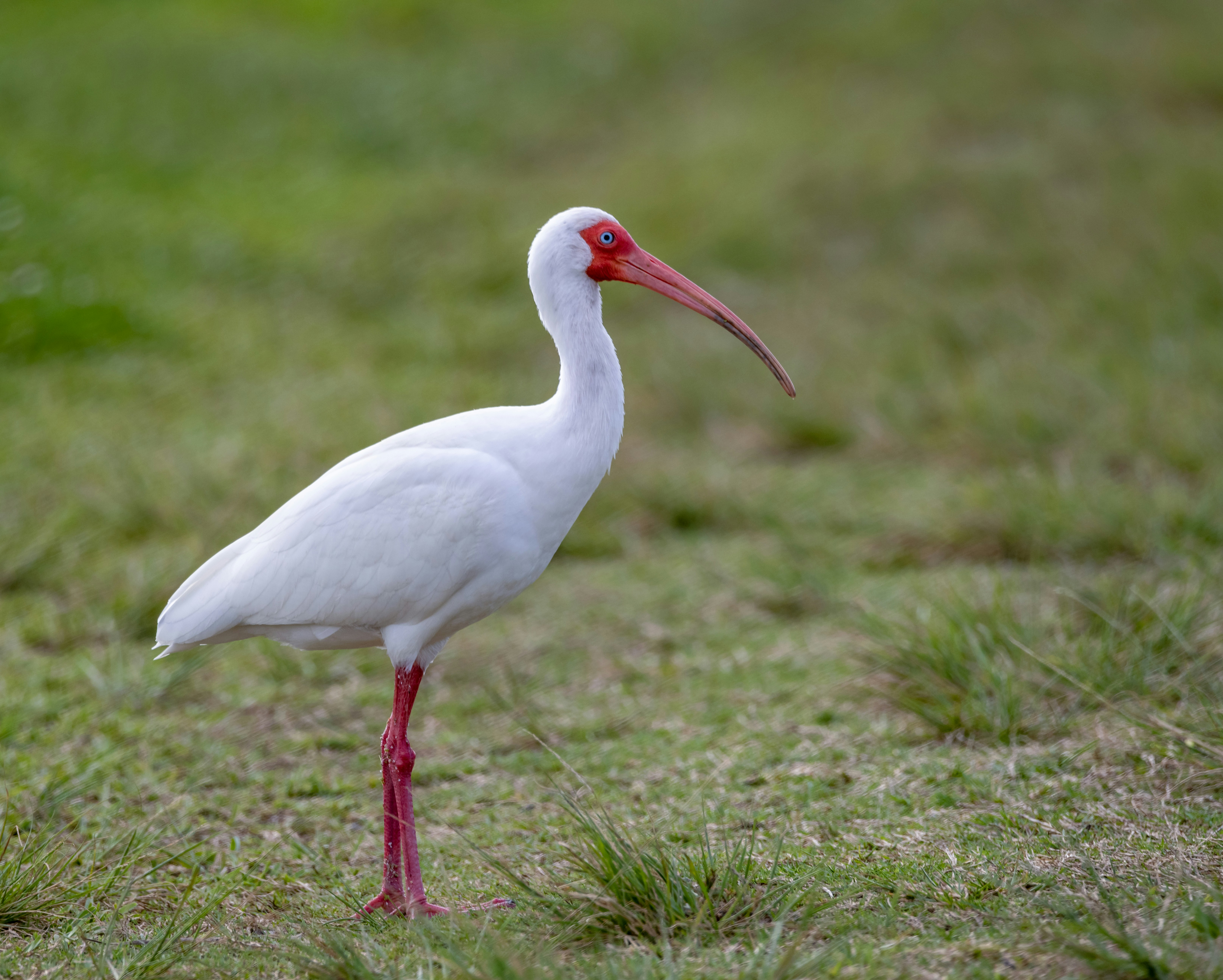 Photo by sicurello_196855