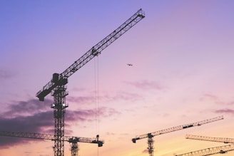 a group of cranes are silhouetted against a purple sky