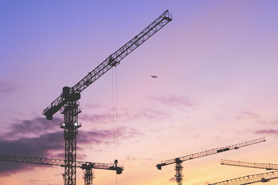 a group of cranes are silhouetted against a purple sky