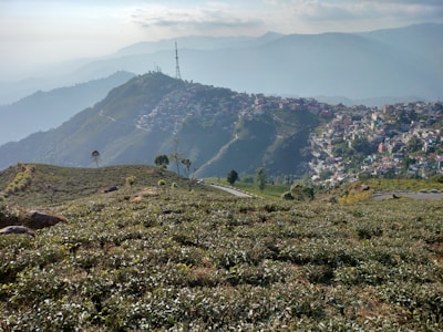 A panoramic view of lush green tea plantations spread across rolling hills with a densely populated town nestled on an adjacent hill. A transmission tower stands atop the hill, and the sky is partly cloudy, casting a serene and tranquil atmosphere over the landscape.