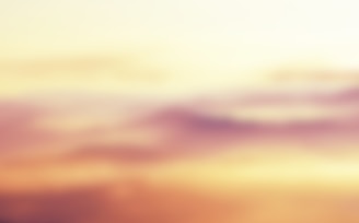 A creative shot blending vibrant colors and soft focus, evoking a dreamlike atmosphere.