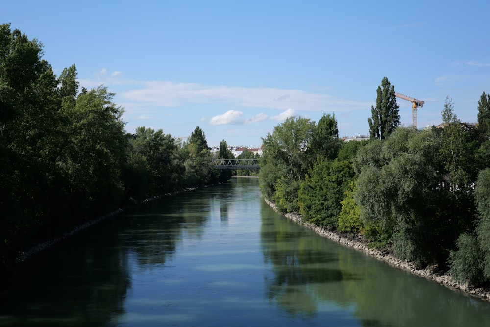 a river running through a lush green forest