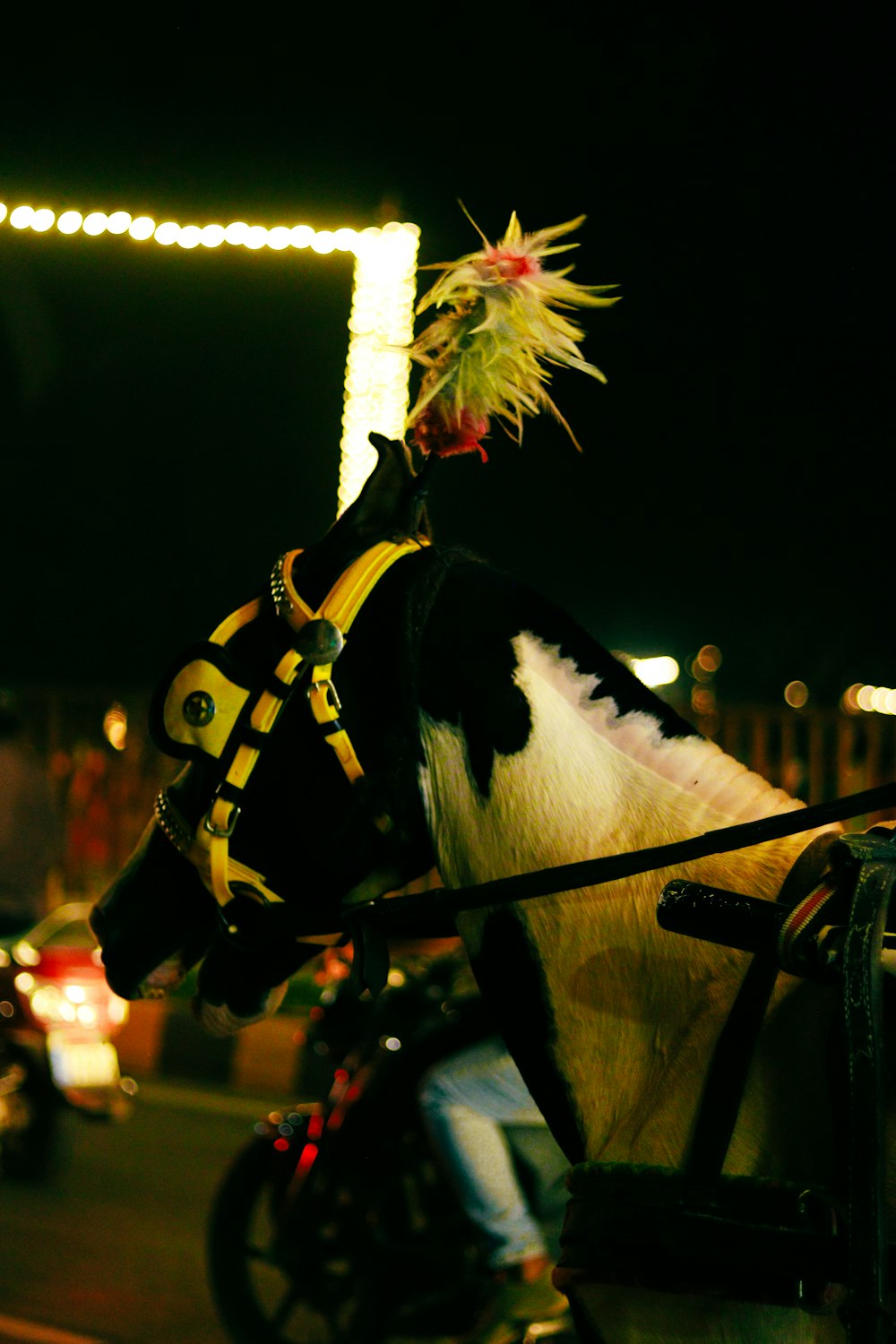 a cow with a headdress on it's back