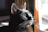 Picture of a cheerful man with a sleek black cat sitting on his lap near a window.