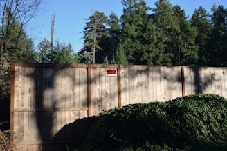 A tall wooden fence set against a background of dense evergreen trees. The fence has a 'Private Property' sign attached to one of the panels. Ivy and other vegetation grow along the base of the fence, and the trees cast long shadows in the sunlight.