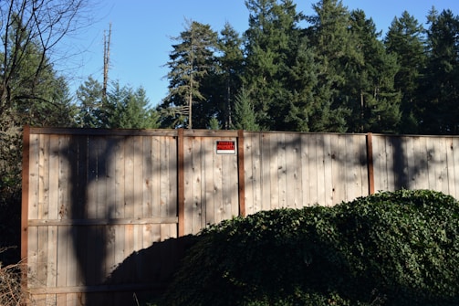 A tall wooden fence set against a background of dense evergreen trees. The fence has a 'Private Property' sign attached to one of the panels. Ivy and other vegetation grow along the base of the fence, and the trees cast long shadows in the sunlight.