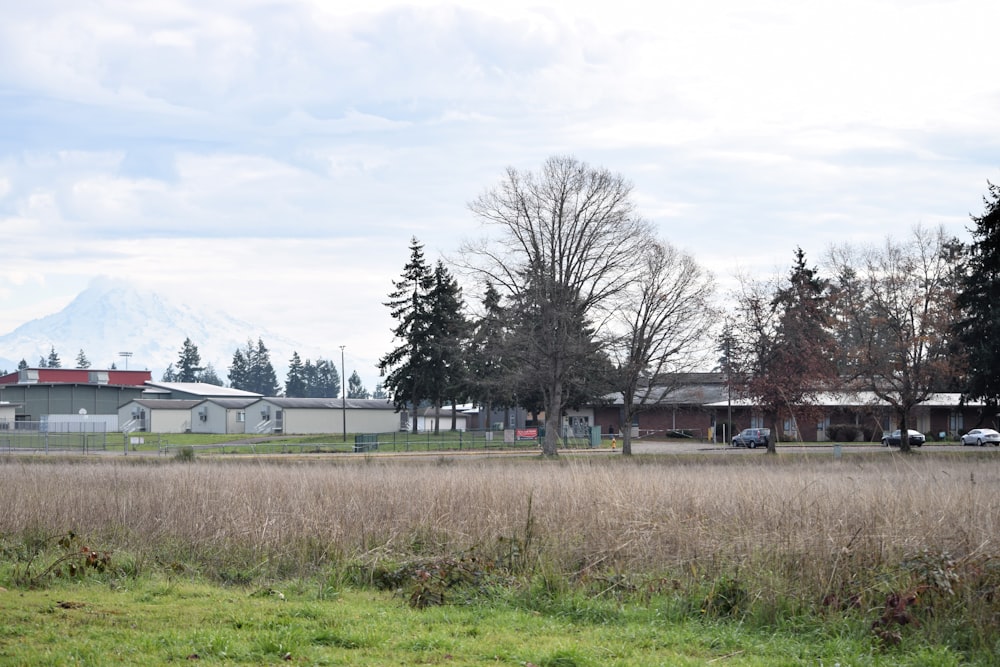 a field with a building and trees in the background