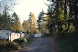 A quiet, tree-lined residential street with a house on the left. The houses have white siding and are bordered by wooden fences. The road is narrow and curves slightly into the distance, flanked by dense greenery and tall trees with both evergreen and deciduous foliage.