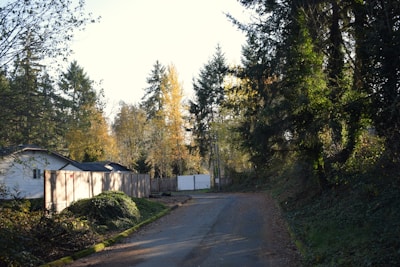 A quiet, tree-lined residential street with a house on the left. The houses have white siding and are bordered by wooden fences. The road is narrow and curves slightly into the distance, flanked by dense greenery and tall trees with both evergreen and deciduous foliage.