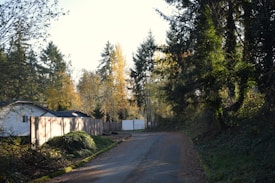A quiet, tree-lined residential street with a house on the left. The houses have white siding and are bordered by wooden fences. The road is narrow and curves slightly into the distance, flanked by dense greenery and tall trees with both evergreen and deciduous foliage.