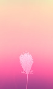 Delicate golden icon symbolizing growth and transformation on a soft beige background.