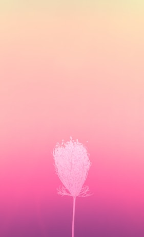 A soft pastel gradient background with delicate sparkles and elegant floral accents.