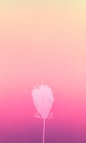 Delicate golden icon symbolizing growth and transformation on a soft beige background.