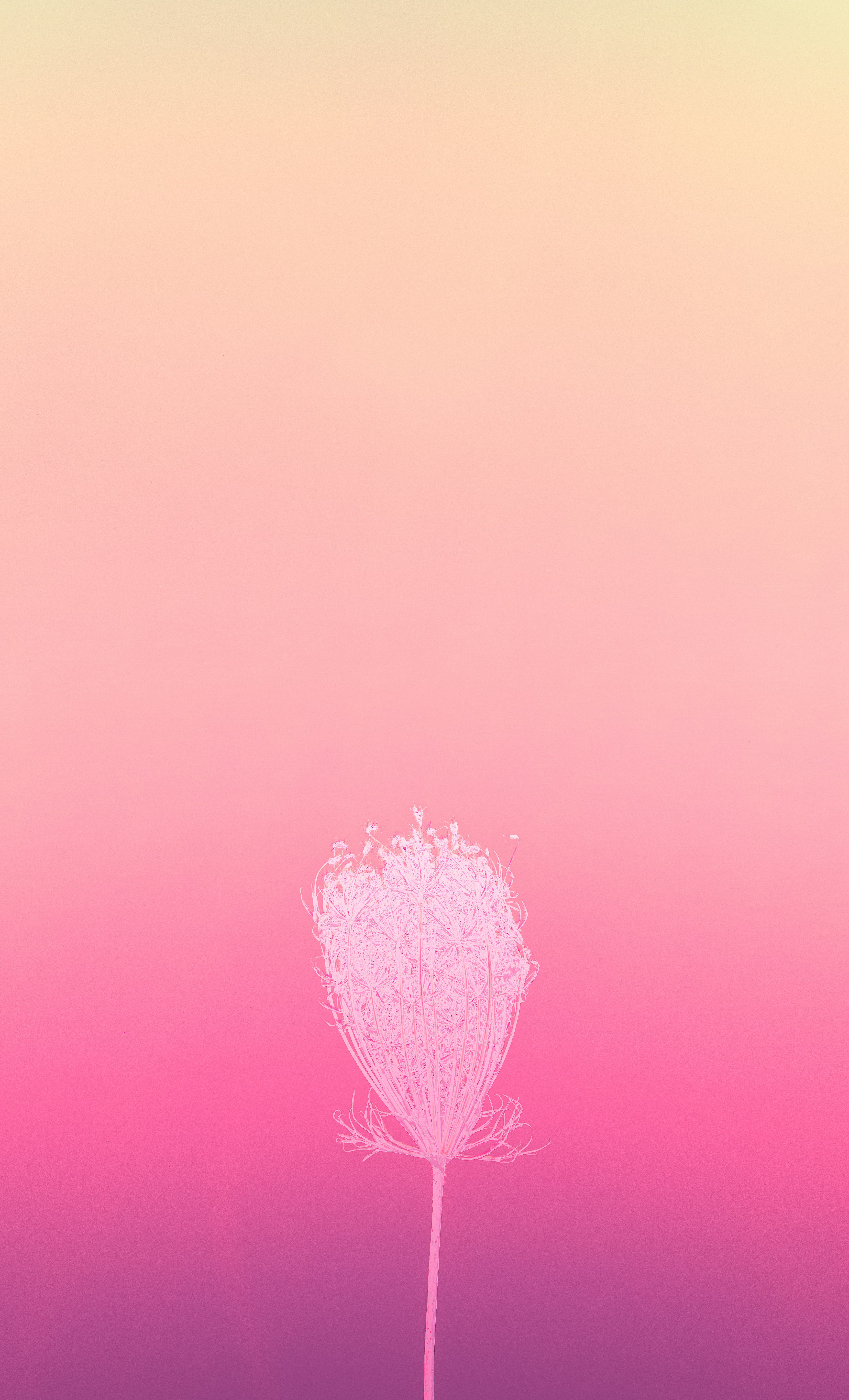 photo-1701886134270-14009c824262?ixid=M3wxMjA3fDB8MXxzZWFyY2h8MTZ8fCVFMCVCOCVBQSVFMCVCOCVBNSVFMCVCOSU4NyVFMCVCOCVBRCVFMCVCOCU5NXxlbnwwfHx8fDE3NTY0ODgxNjZ8MA\u0026ixlib=rb-4.1.0