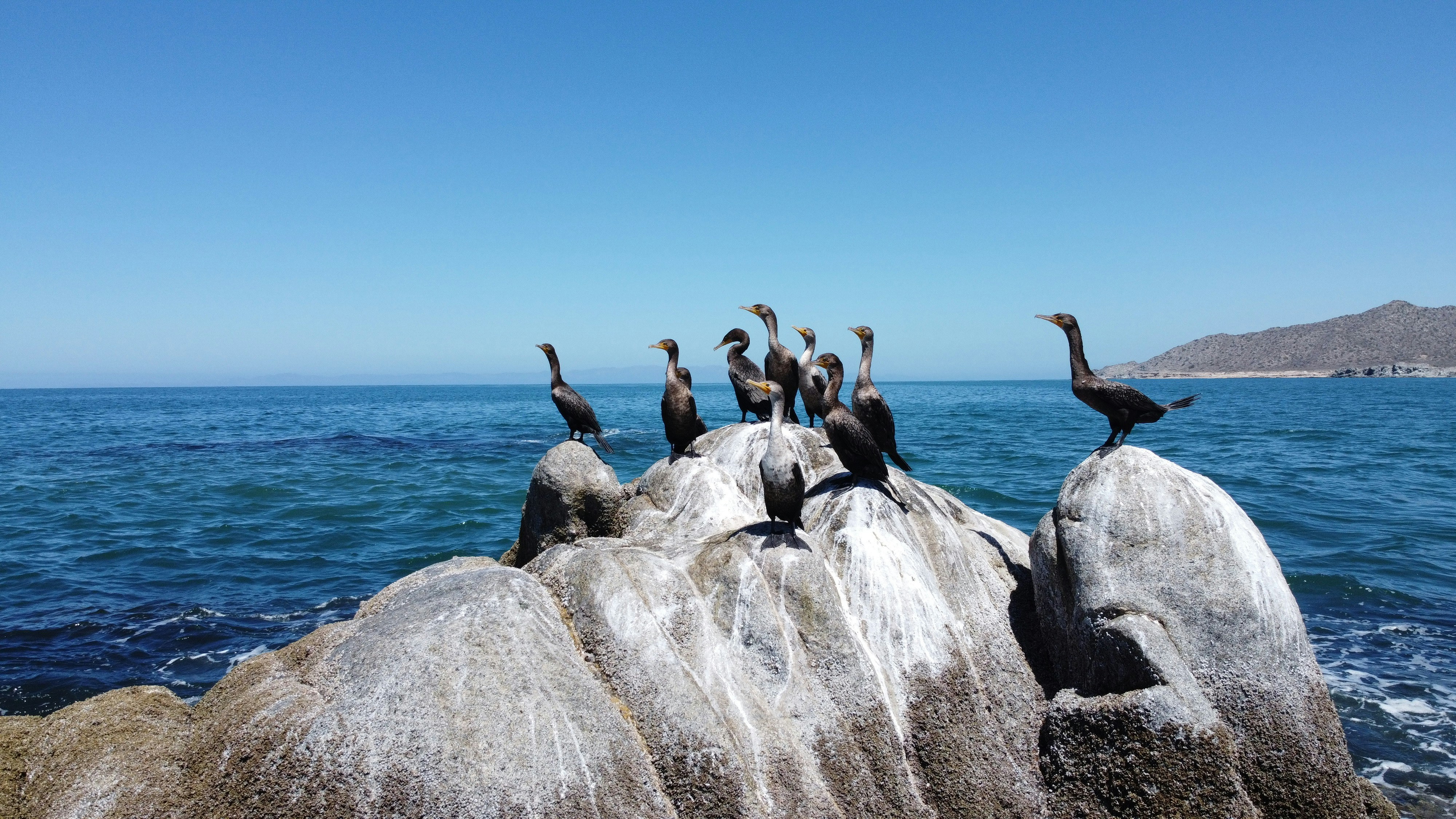 Photo by joseocaballero