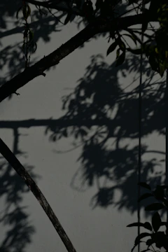Abstract shadows creating a rhythmical pattern on a white wall.