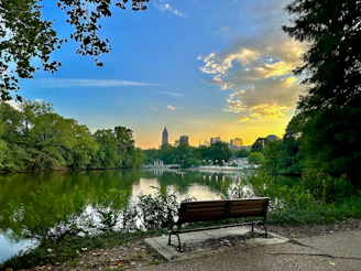 A peaceful urban park bench surrounded by lush greenery and city skyline in the background.