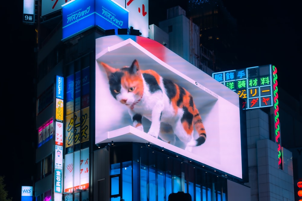 a picture of a cat on a billboard in a city