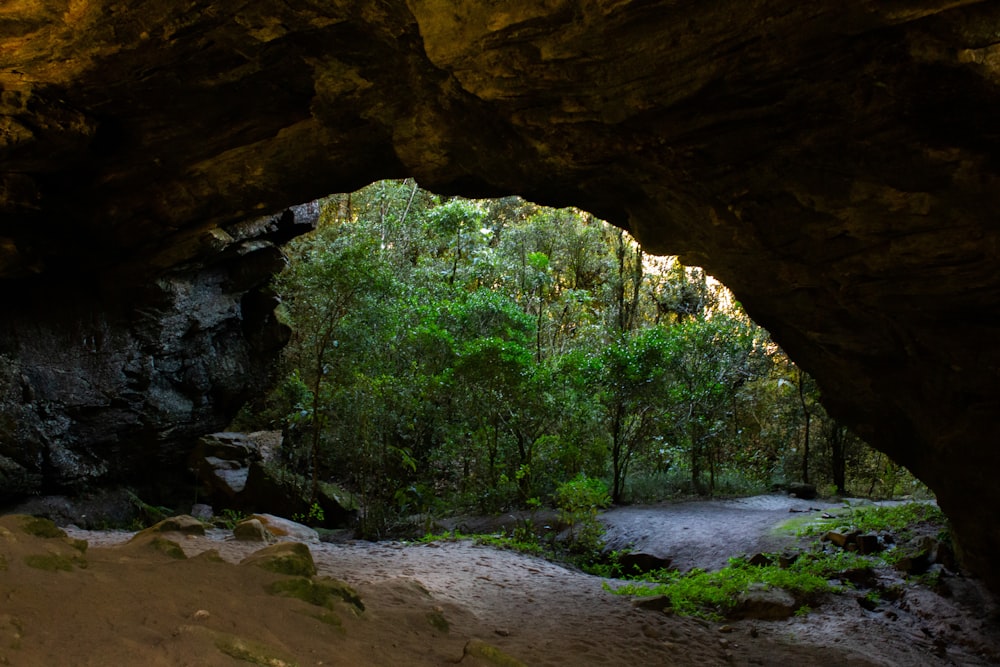 a cave entrance with a dirt path leading into it