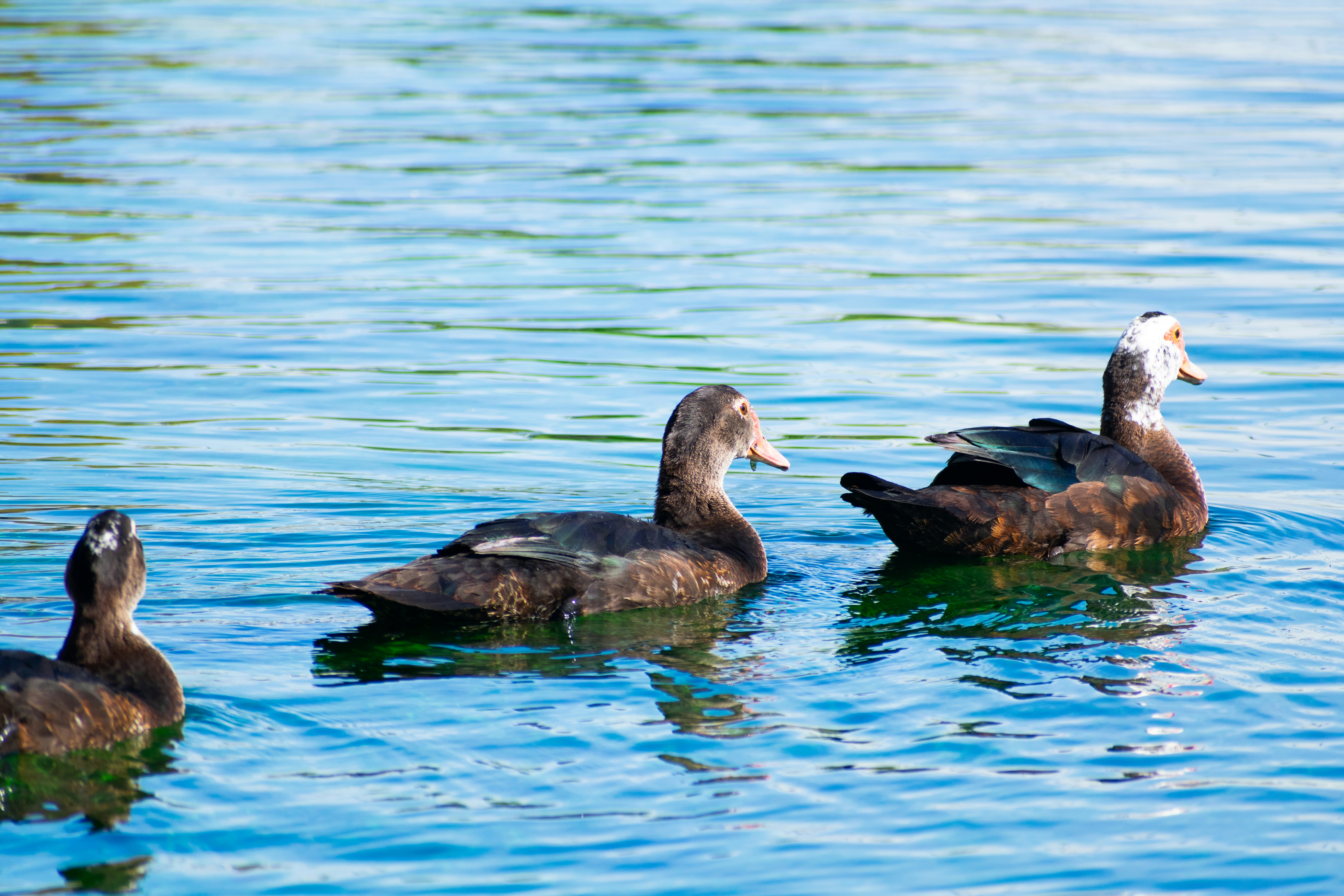 Photo by probablyrobin