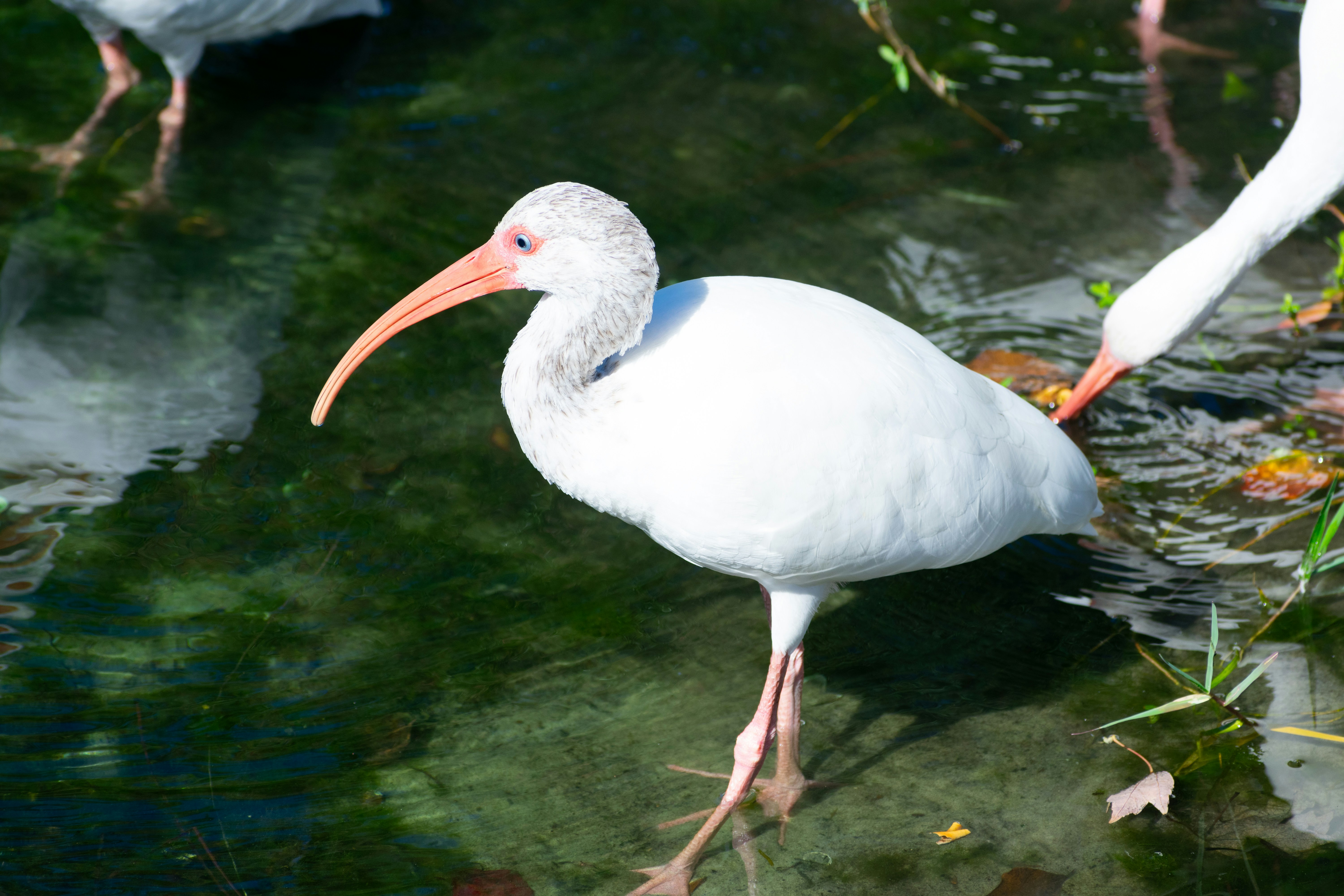 Photo by probablyrobin