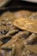 A close-up view of a creamy dish with visible chunks and a wooden spatula partially submerged in the mixture. The texture appears thick and smooth, with a glossy sheen reflecting light.
