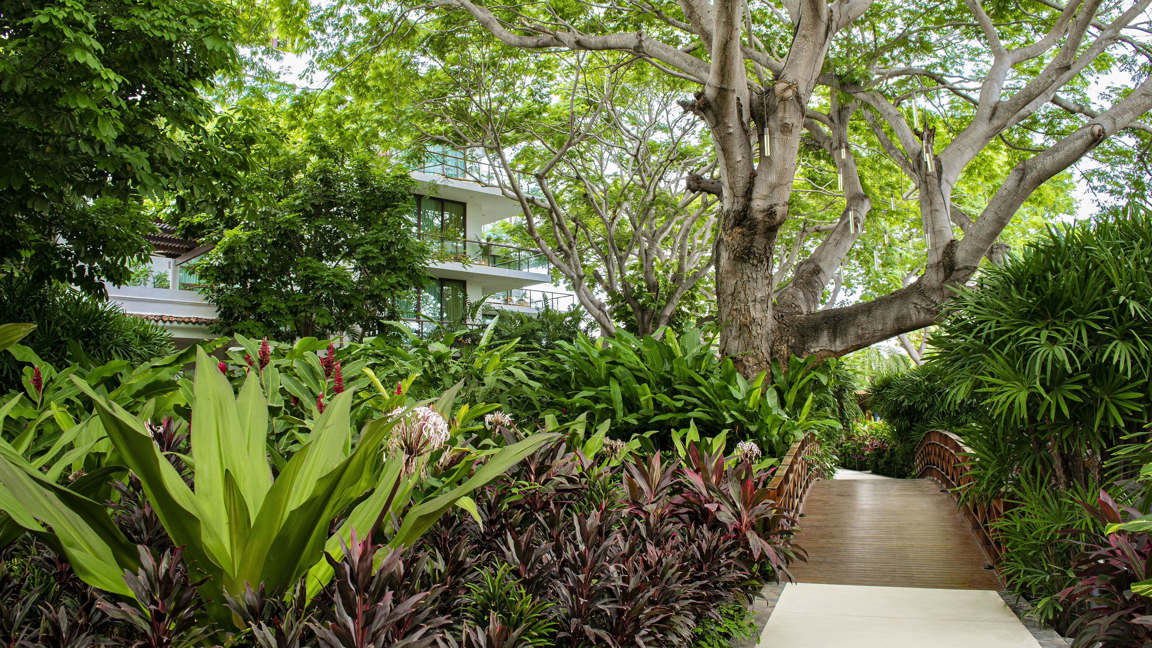 Photo by vivian_mora