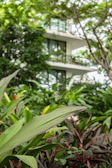 Daikin outdoor unit surrounded by lush garden greenery, highlighting eco-friendly design.