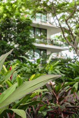 Daikin outdoor unit surrounded by lush garden greenery, highlighting eco-friendly design.