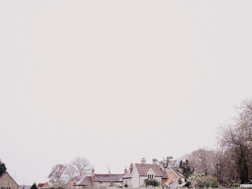 a horse grazing in a field in front of a house