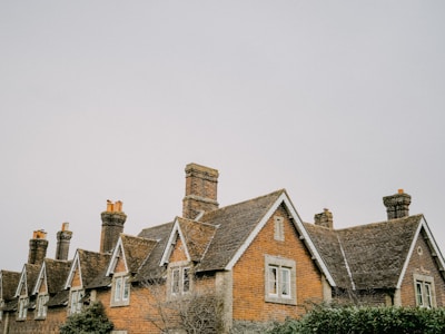 A series of brick houses with steeply pitched roofs and multiple chimneys. The architecture suggests a traditional or historic style, with sloped roofs covered in shingles and framed windows. A few birds are perched on the chimneys, and the surrounding sky is overcast, enhancing the rustic charm.