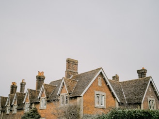 A series of brick houses with steeply pitched roofs and multiple chimneys. The architecture suggests a traditional or historic style, with sloped roofs covered in shingles and framed windows. A few birds are perched on the chimneys, and the surrounding sky is overcast, enhancing the rustic charm.