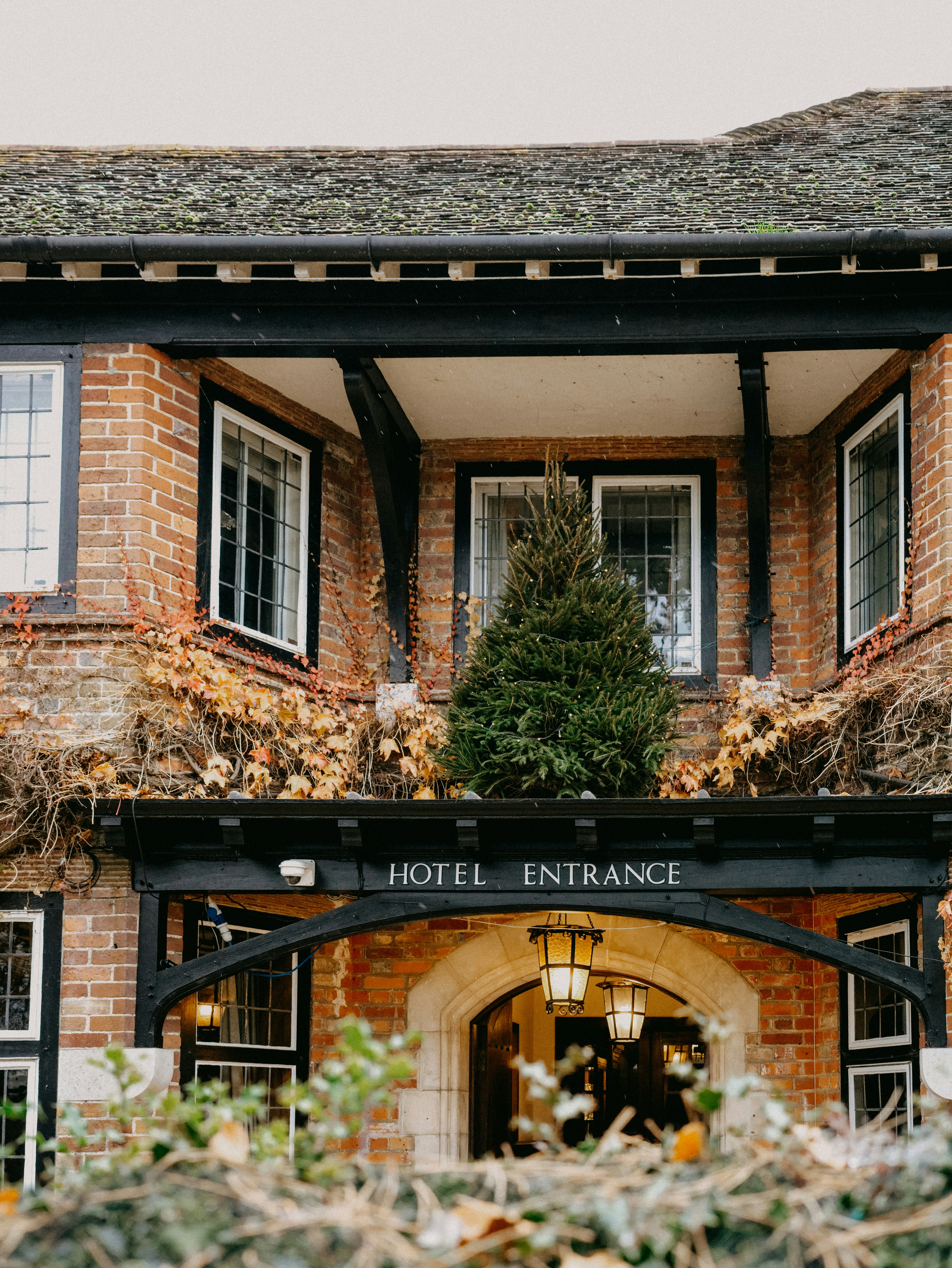 a hotel entrance with a christmas tree in the window