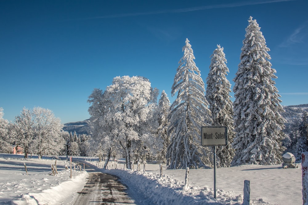 a snowy road surrounded by trees and a sign