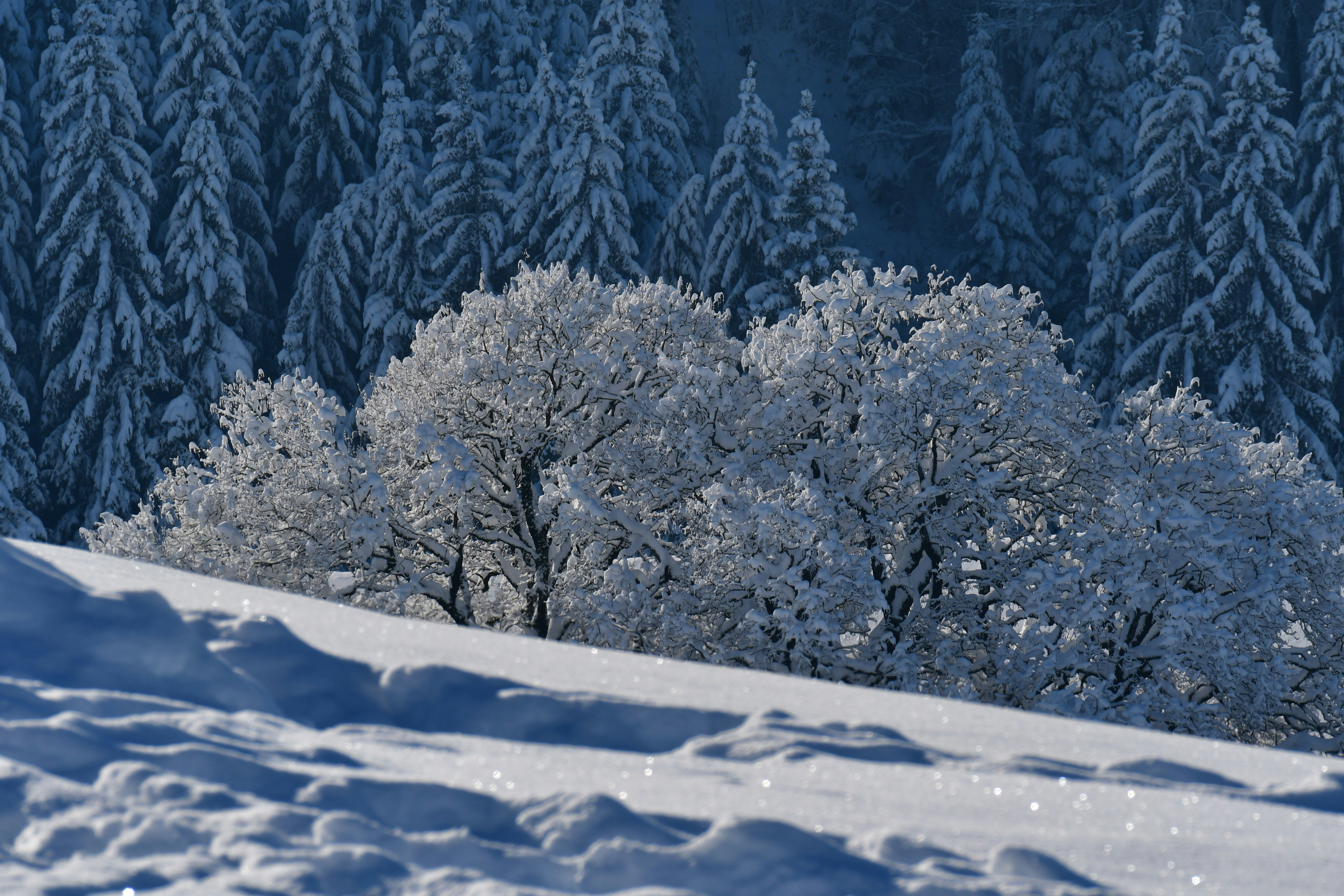 Photo by pedrino5_official