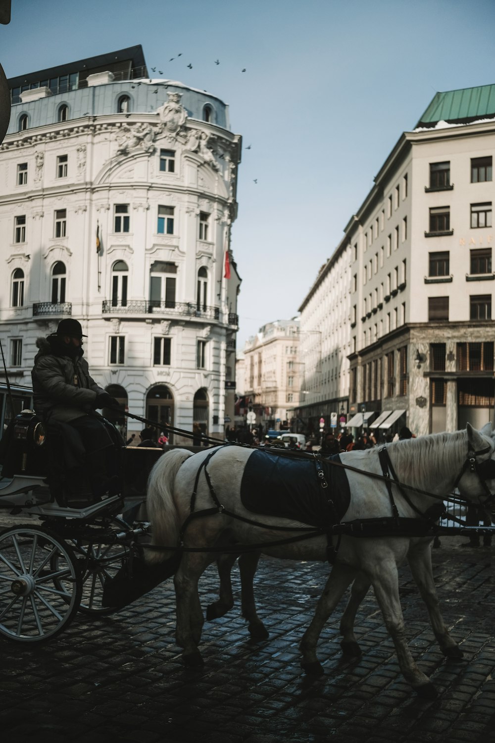 a horse pulling a carriage down a cobblestone street