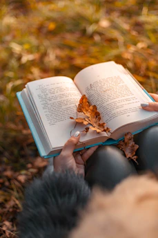A delicate autumn leaf resting gently on an open poetry book with a vintage pen nearby.