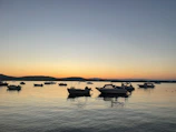 Boats gently bobbing on the calm waters of a Sindh coastal bay at sunset.