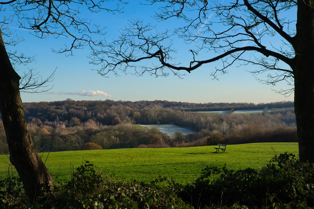 a grassy field with trees and a lake in the distance