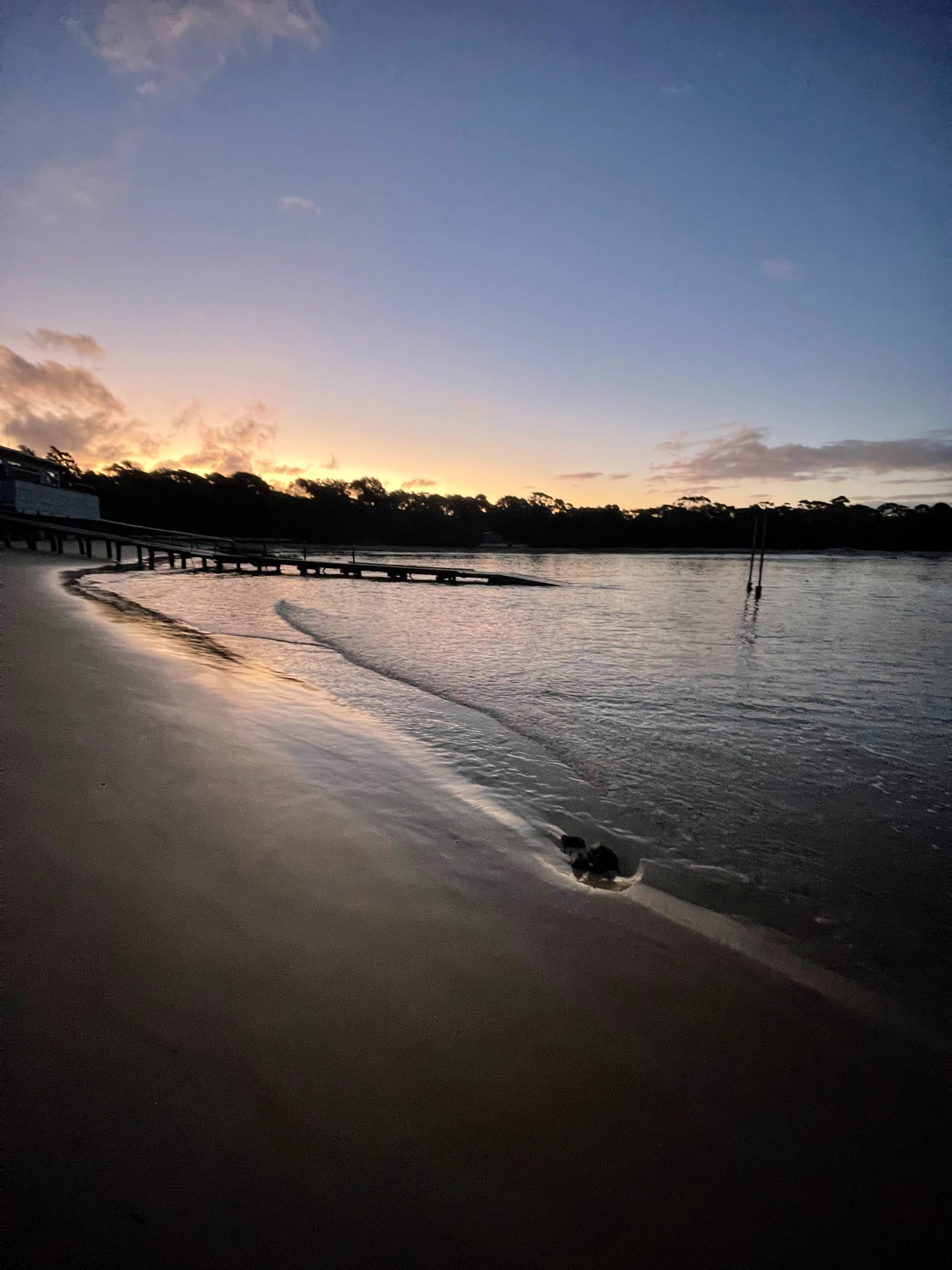 gray computer monitor