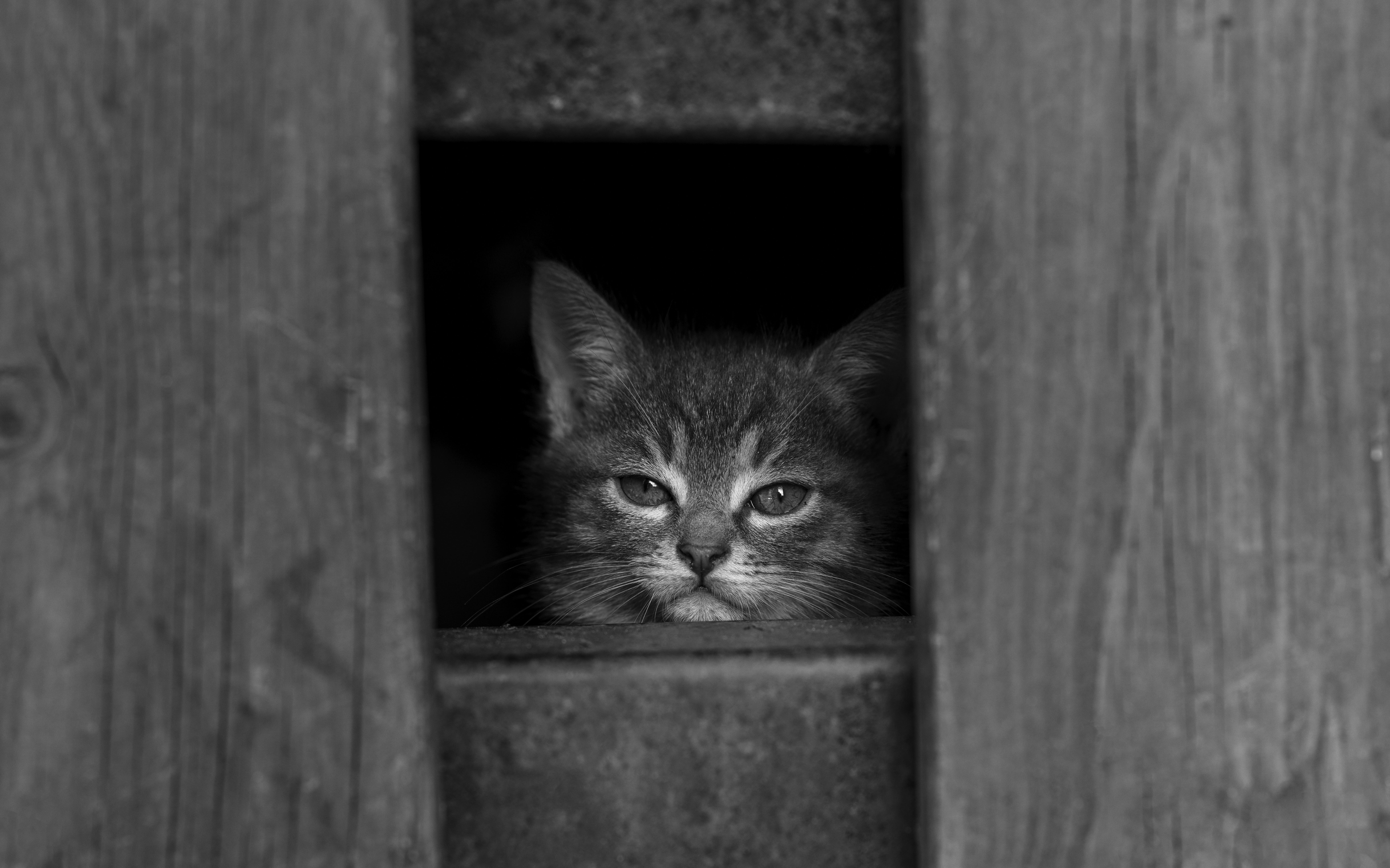 Photo by enginakyurt