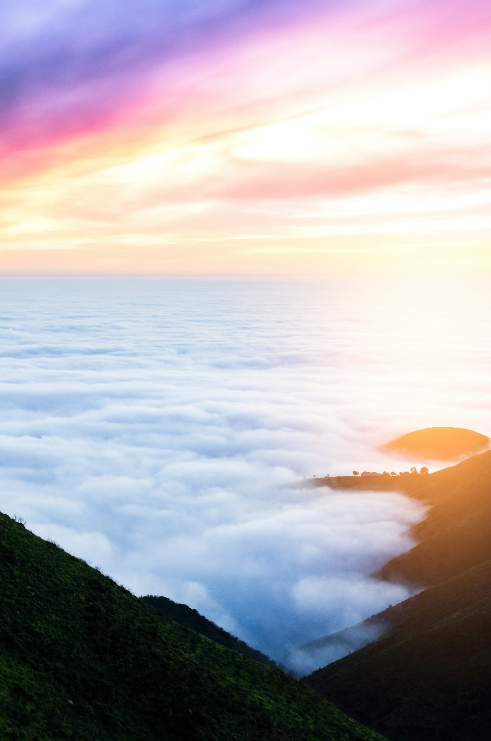 a man standing on top of a lush green hillside