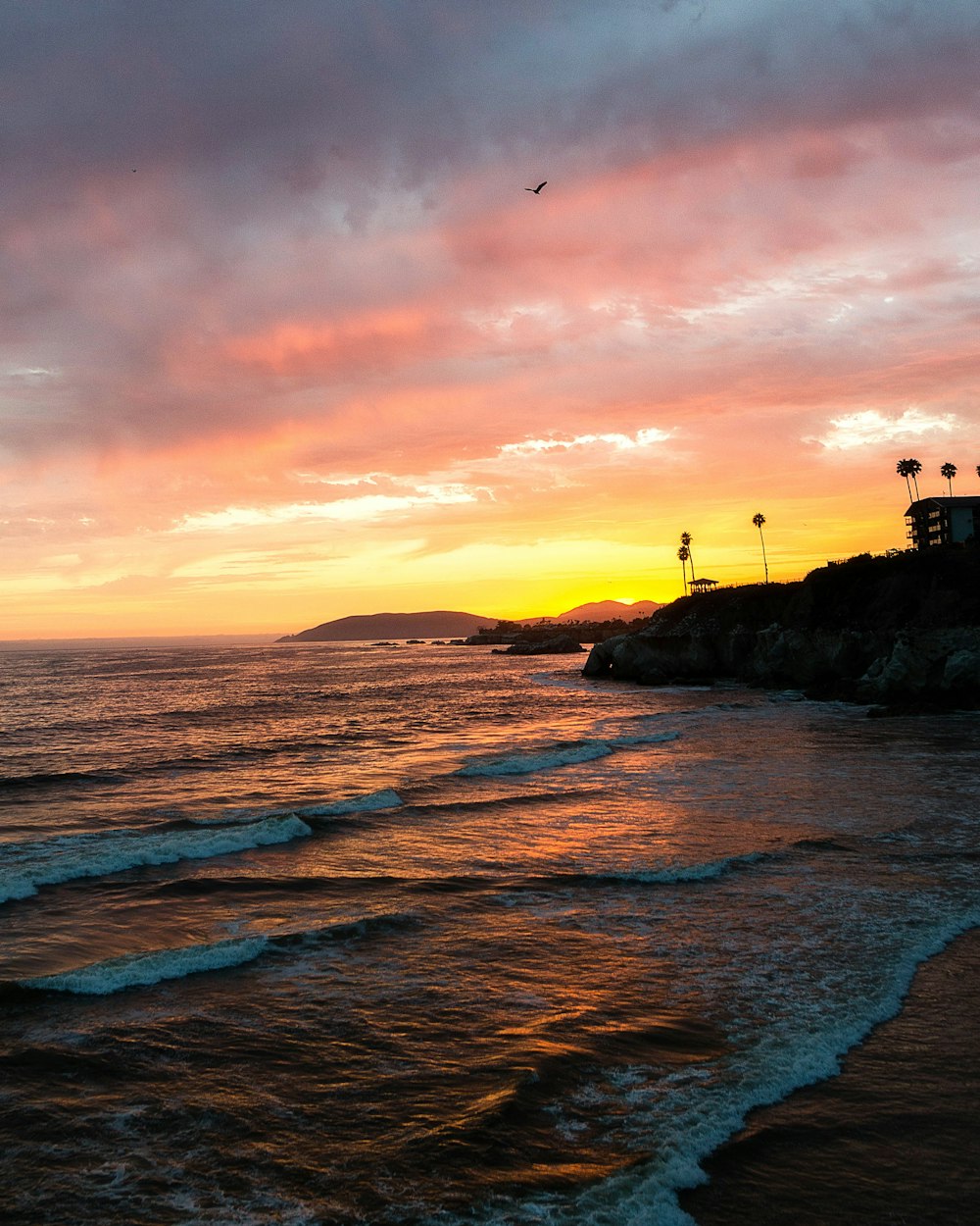 a sunset over the ocean with a bird flying in the sky