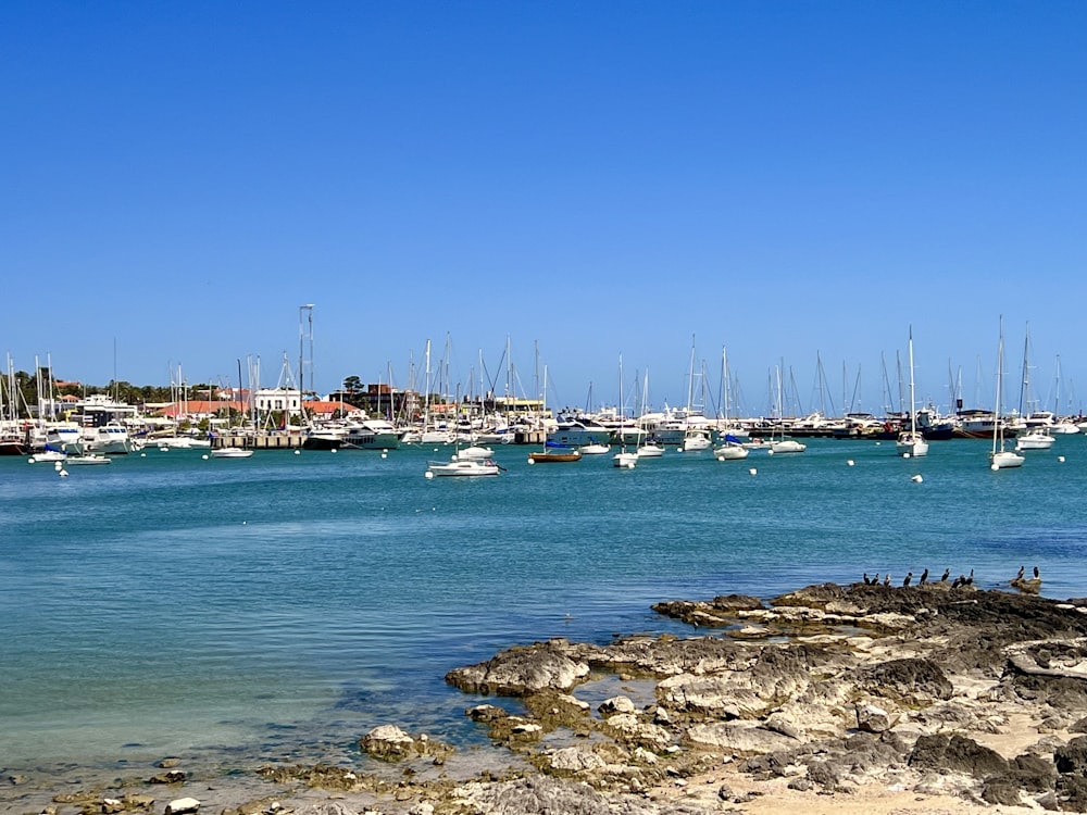 a bunch of boats that are in the water