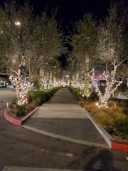 Outdoor pathway lined with bright LED strip lights illuminating the walkway at dusk.