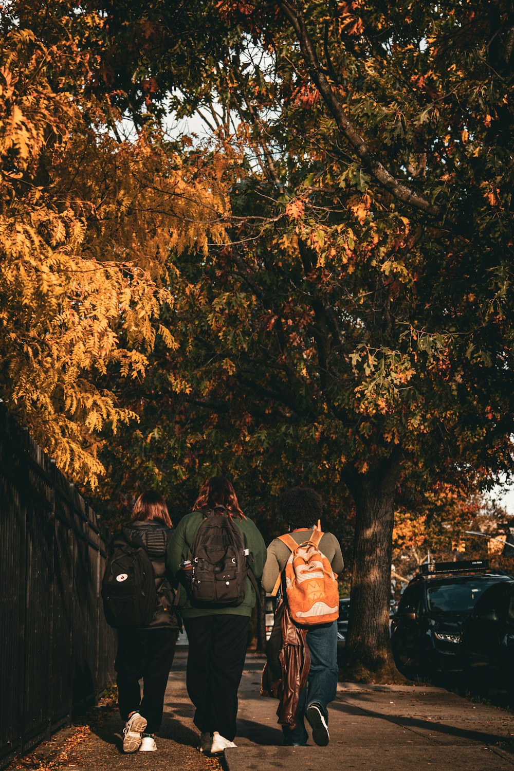 a group of people walking down a street next to trees