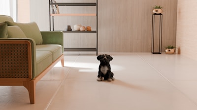 A small black and white puppy sits on a sleek, light-colored tile floor in a modern living room. The space has a stylish, minimalistic design with a green sofa featuring wooden armrest details on the left. Shelving in the background holds decorative items like vases and books. There are plant pots on a tall stand and next to the shelving unit, adding a touch of greenery.